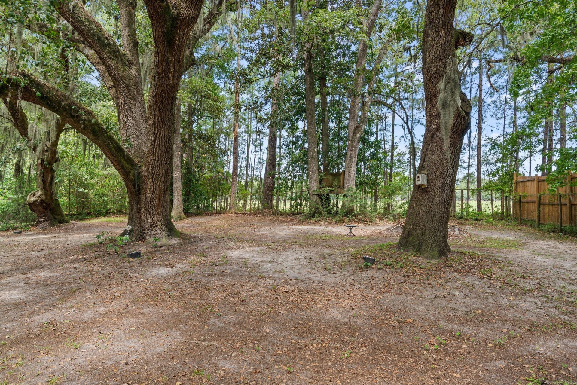 80 Jasmine Hall Road Photo 42