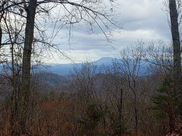 98 Adair Drive NE, Ranger, GA 30734