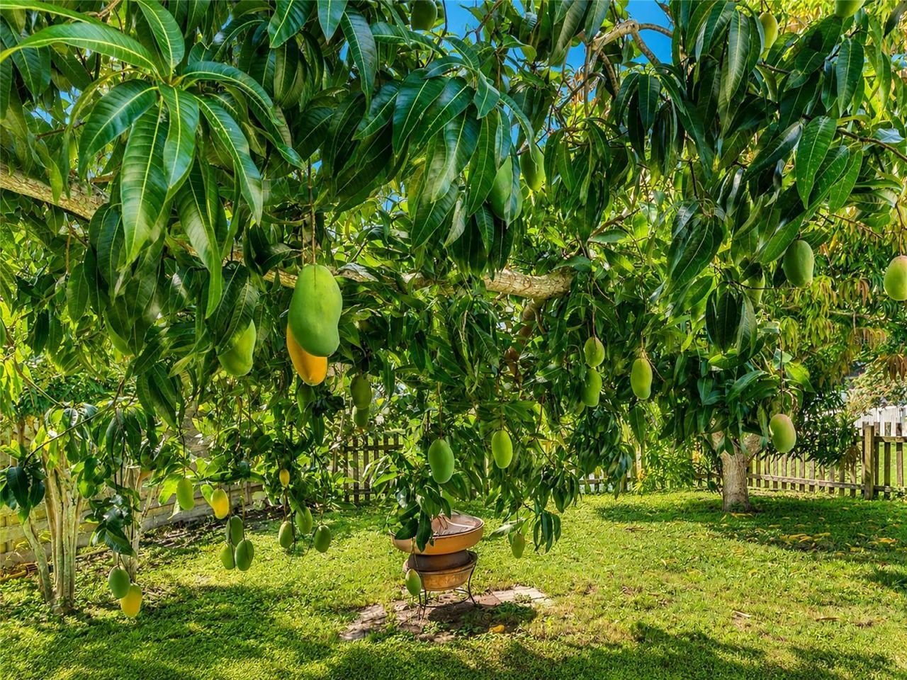 2405 Icecapade Drive, Sarasota, FL 34240 Photo
