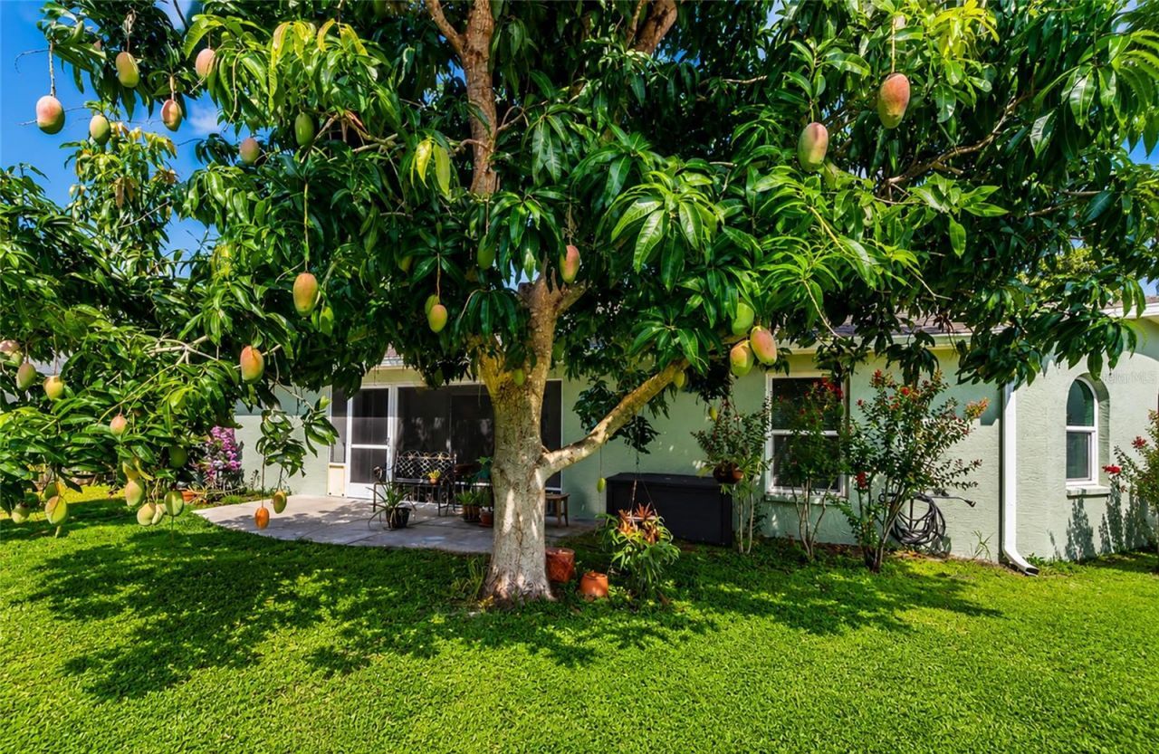 2405 Icecapade Drive, Sarasota, FL 34240 Photo