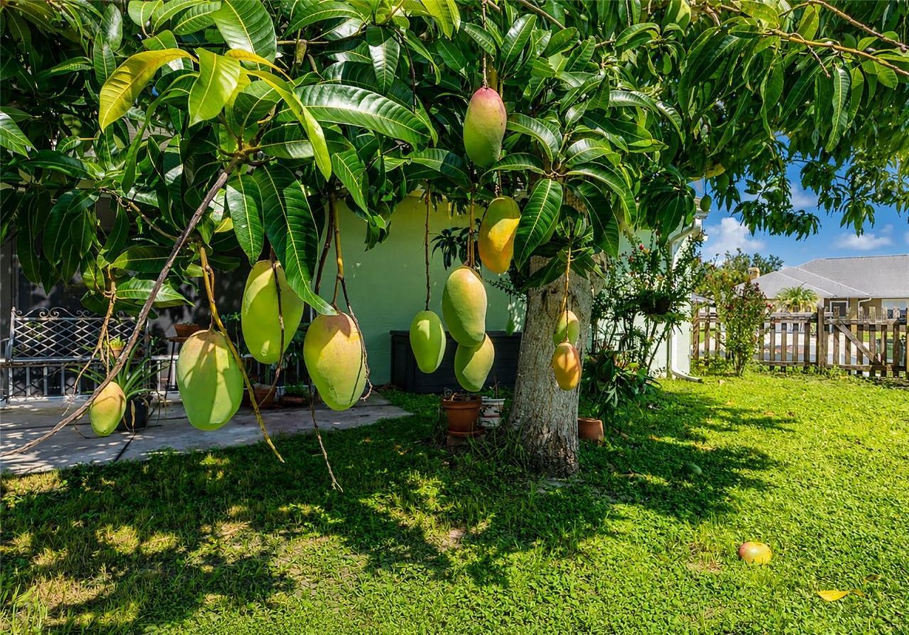2405 Icecapade Drive, Sarasota, FL 34240 Photo