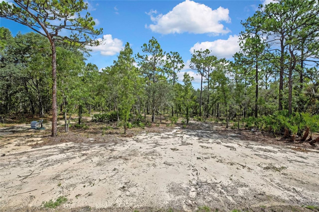 5611 W Rochelle Street , Homosassa, FL 34446 Photo