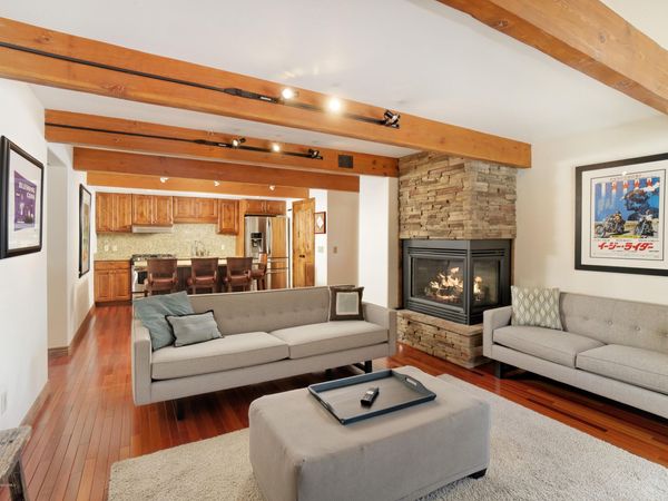 630 E Cooper Avenue, Unit 1, Aspen, CO 81611