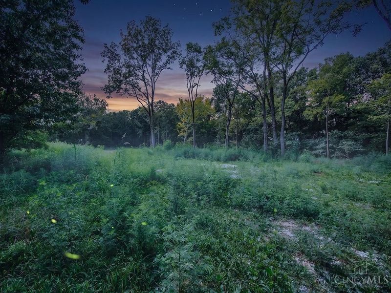 1539 Oregonia Road, Turtle Creek Twp, OH 45036 Photo 5