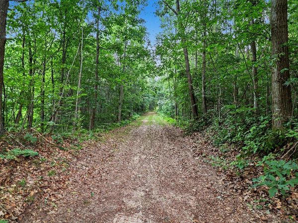 V/L N Larson Road, Fountain, MI 49410