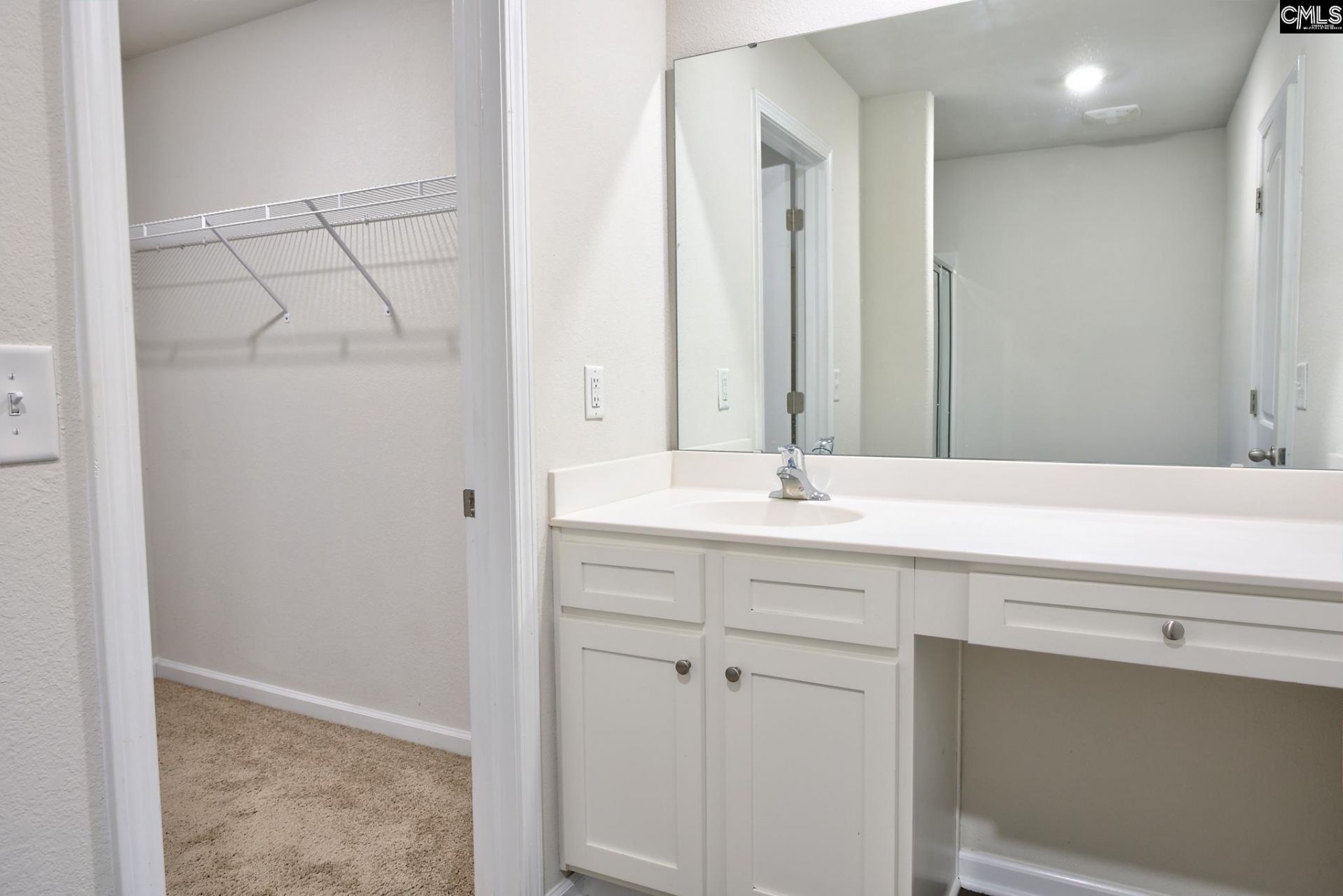 289 Common Reed Drive  Photo 19