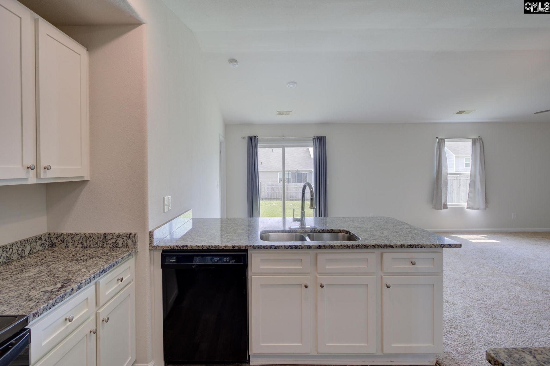 289 Common Reed Drive  Photo 9