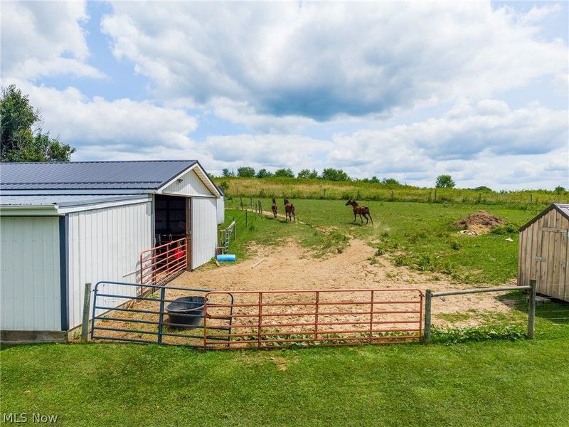 9182 Berry Road , Kensington, OH 43986 Photo 33