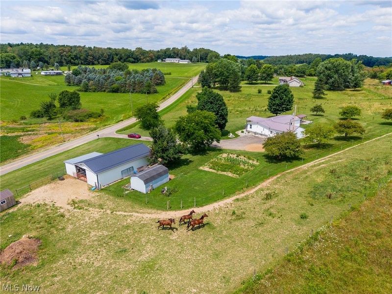9182 Berry Road , Kensington, OH 43986 Photo 41