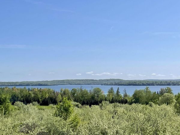9012 Aurora Vista Trail, Williamsburg, MI 49690