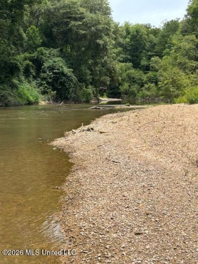 Tbd Leatherwood Road, Tylertown, MS 39667 Main Photo