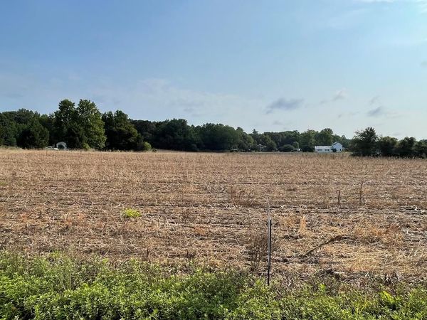 Lot 4 Fruit Plain Road, CALLAO, VA 22435
