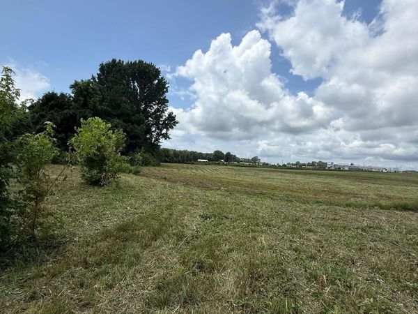 3201 Co Rd 70, Rogersville, AL 35652
