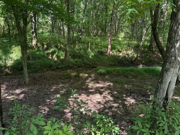 219 York Dr, Rogersville, AL 35652