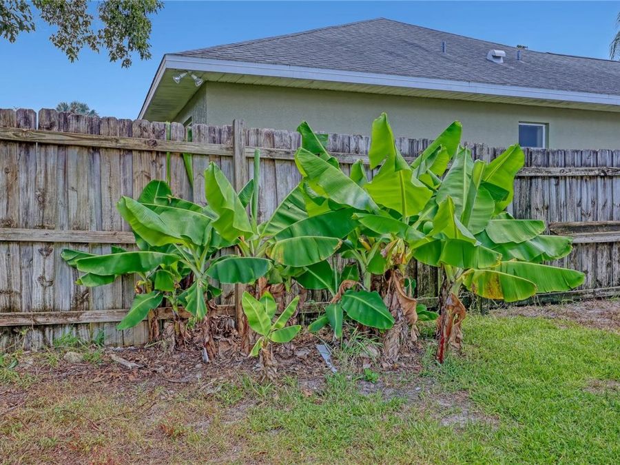 Property Image 58