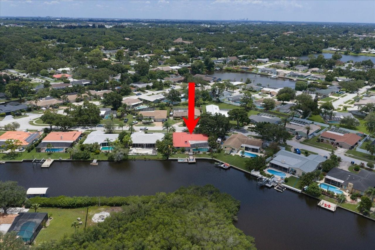 2126 Egret Drive, Clearwater, FL 33764 Photo