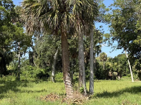 510-512 N Segrave Street, Daytona Beach, FL 32114