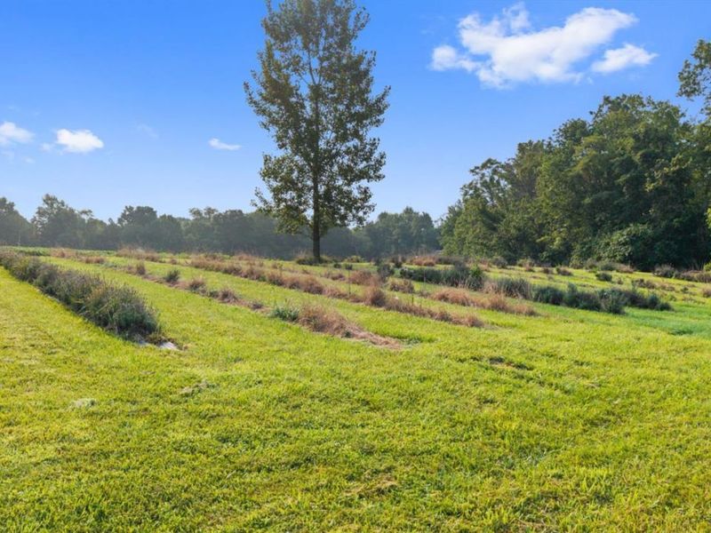 9790 Baker Hanselman Road, Franklin Twp, OH 45121 Photo 56