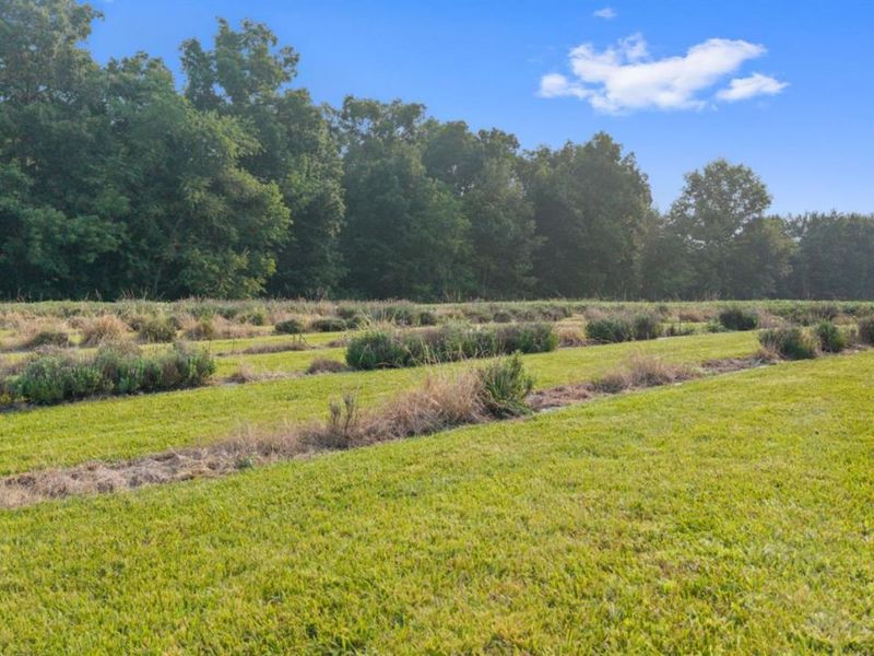 9790 Baker Hanselman Road, Franklin Twp, OH 45121 Photo 57