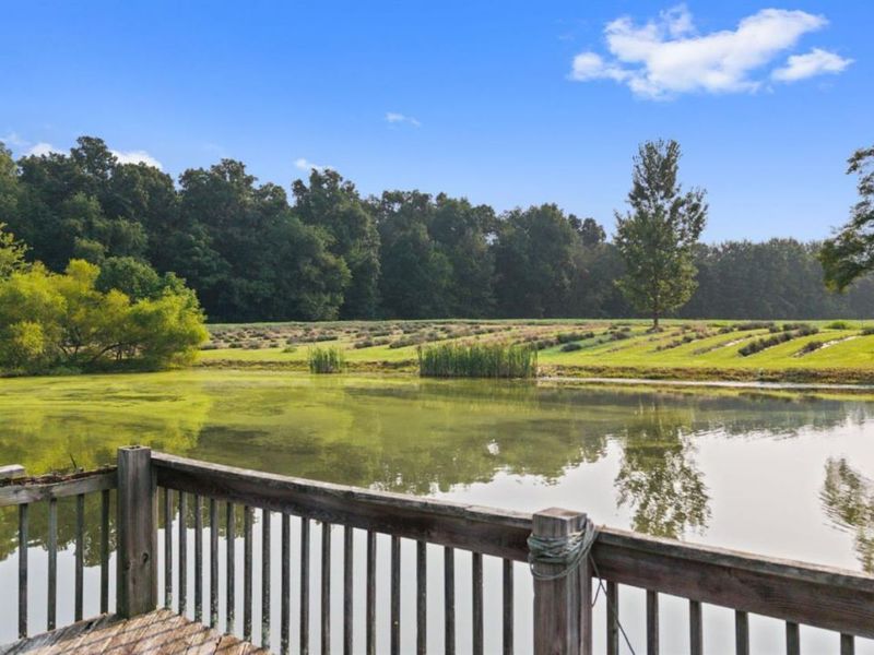 9790 Baker Hanselman Road, Franklin Twp, OH 45121 Photo 59
