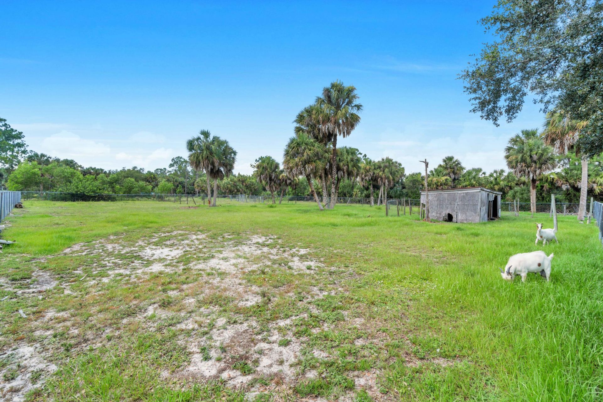 420 18th Avenue Ne, Naples, FL 34120 Photo