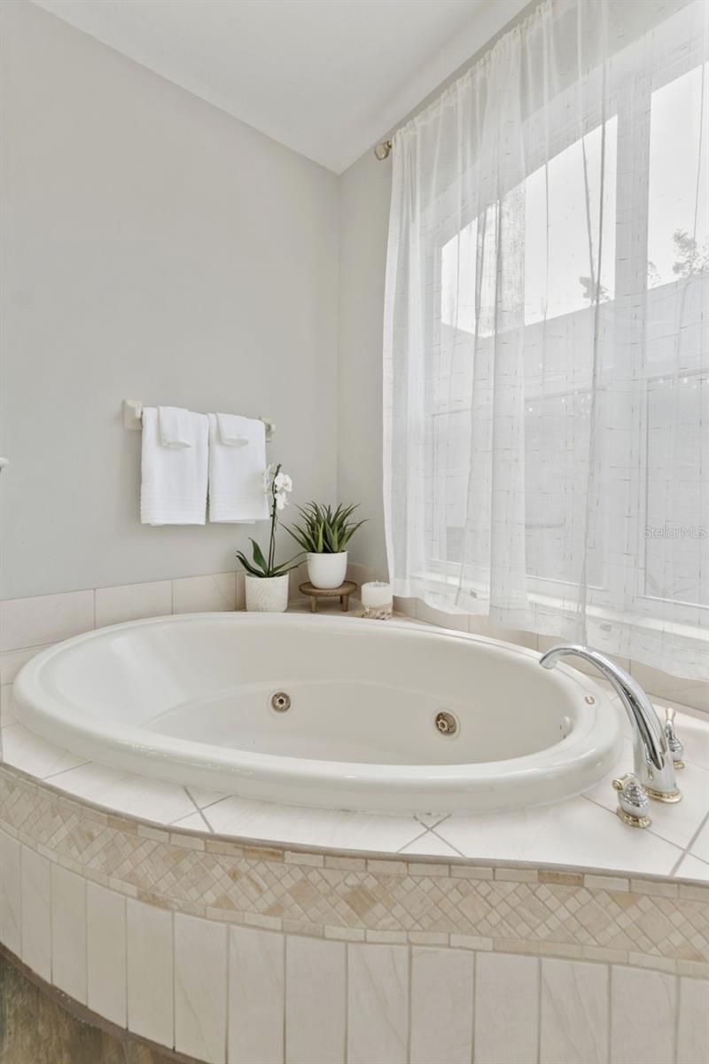 24355 Hideout Trail, Land O Lakes, FL 34639 Photo