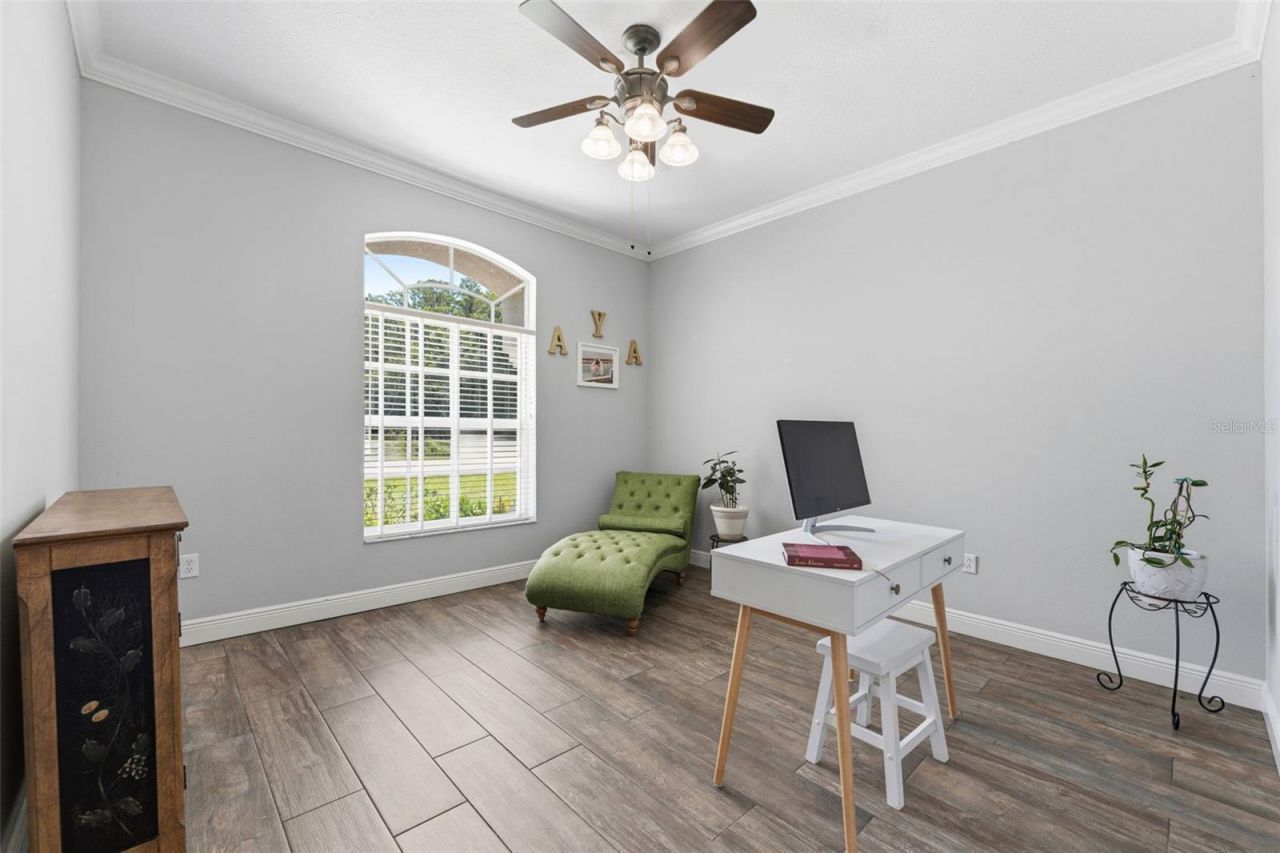 24355 Hideout Trail, Land O Lakes, FL 34639 Photo
