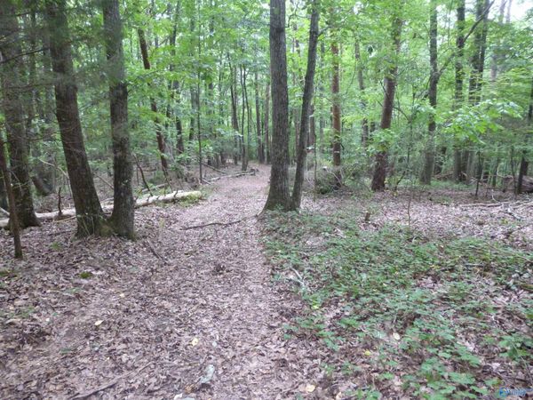 500 20th Street SW, Fort Payne, AL 35967