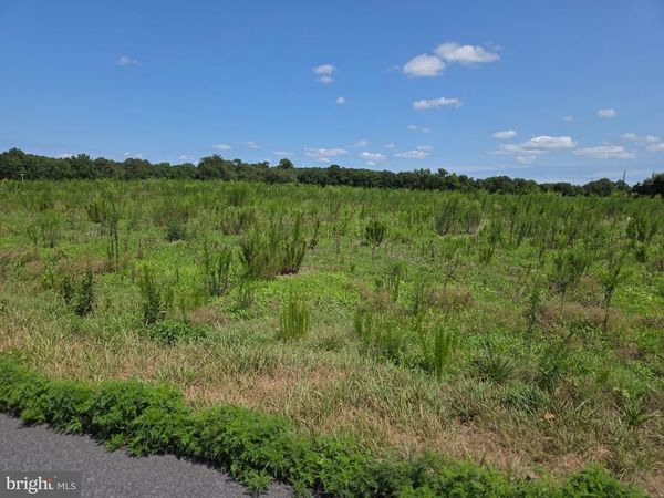 0 DELAWARE AVENUE , PITTSVILLE, MD 21850