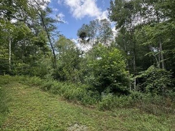 0 CREST Lane, Unit LOT 5, Rabun Gap, GA 30568