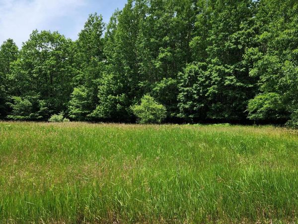 00 Opal Ridge Drive, Unit 64, Onekama, MI 49675