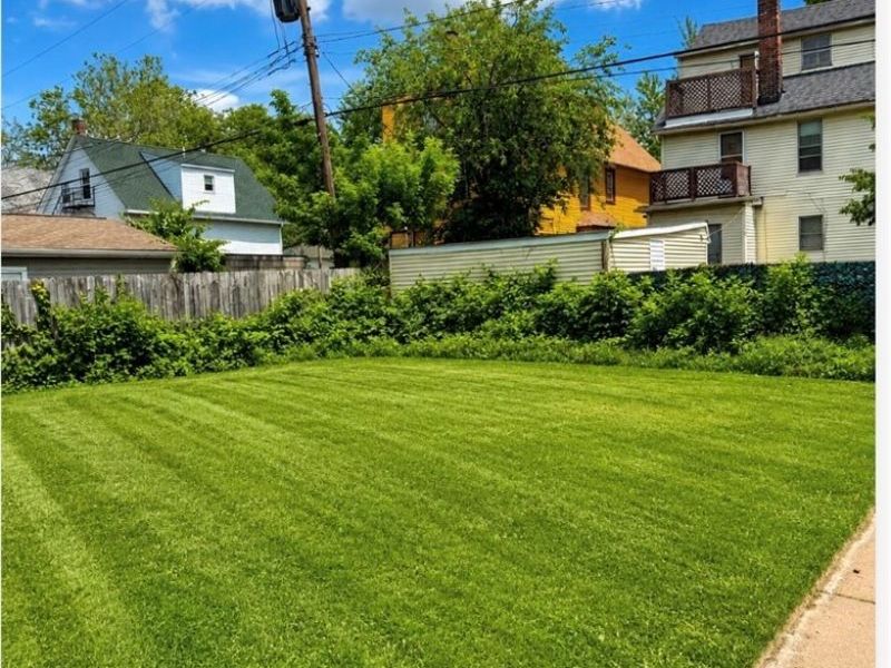 2233 E 80th Street, Cleveland, OH 44103 Photo 7