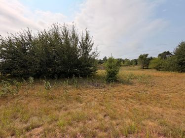 1961 Nelson Lake Road , Pillager, MN 56473