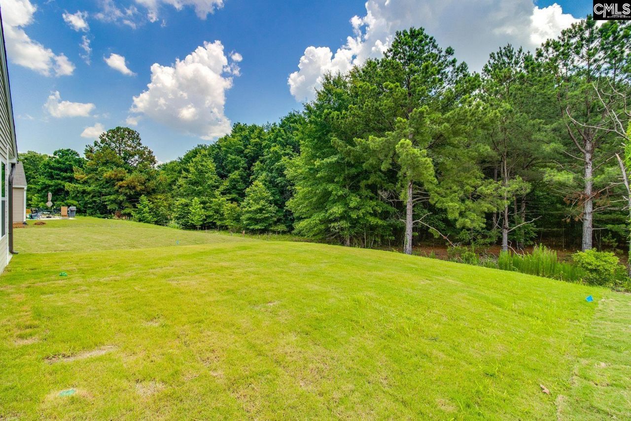 3103 Hallsdale Drive  Photo 24