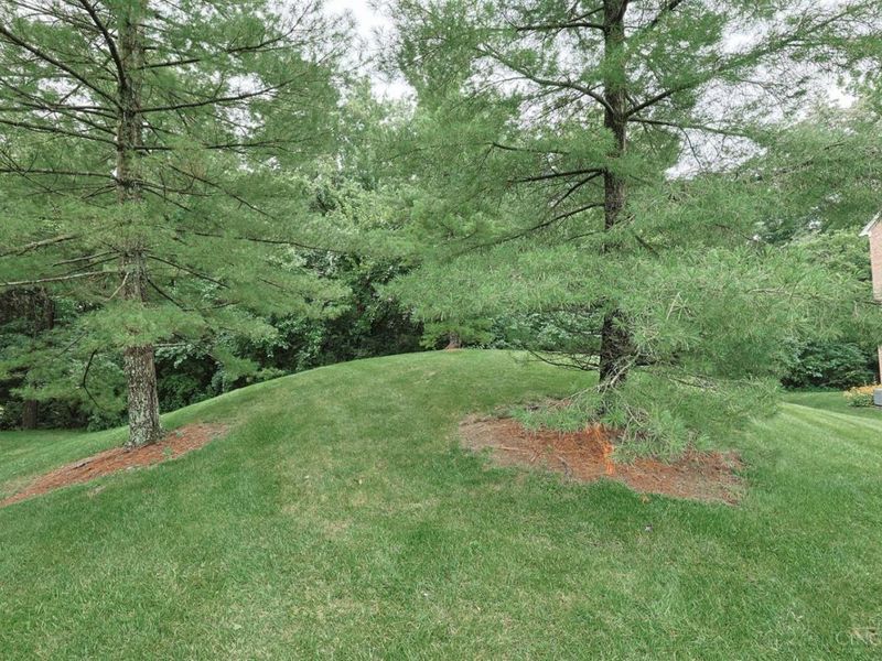 979 Cedar Ridge Drive, Unit 11, Pierce Twp, OH 45245 Photo 26