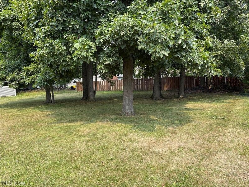 1661 Dannley Drive, Brunswick, OH 44212 Photo 22