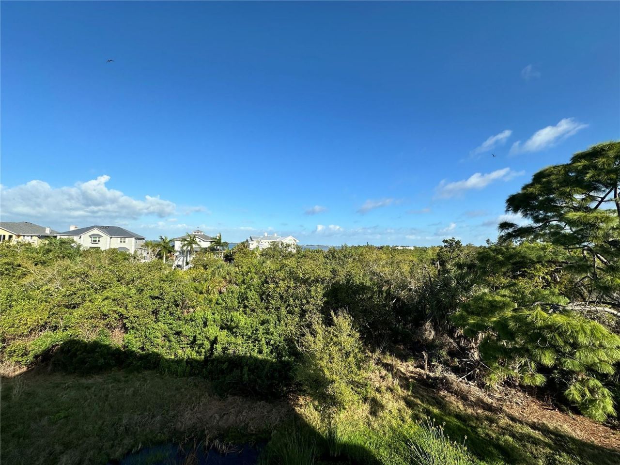 7740 34th Ave W, Unit 202, Bradenton, FL 34209 Photo