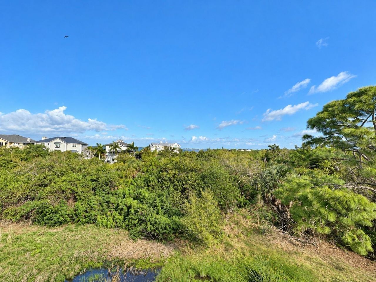 7740 34th Ave W, Unit 202, Bradenton, FL 34209 Photo