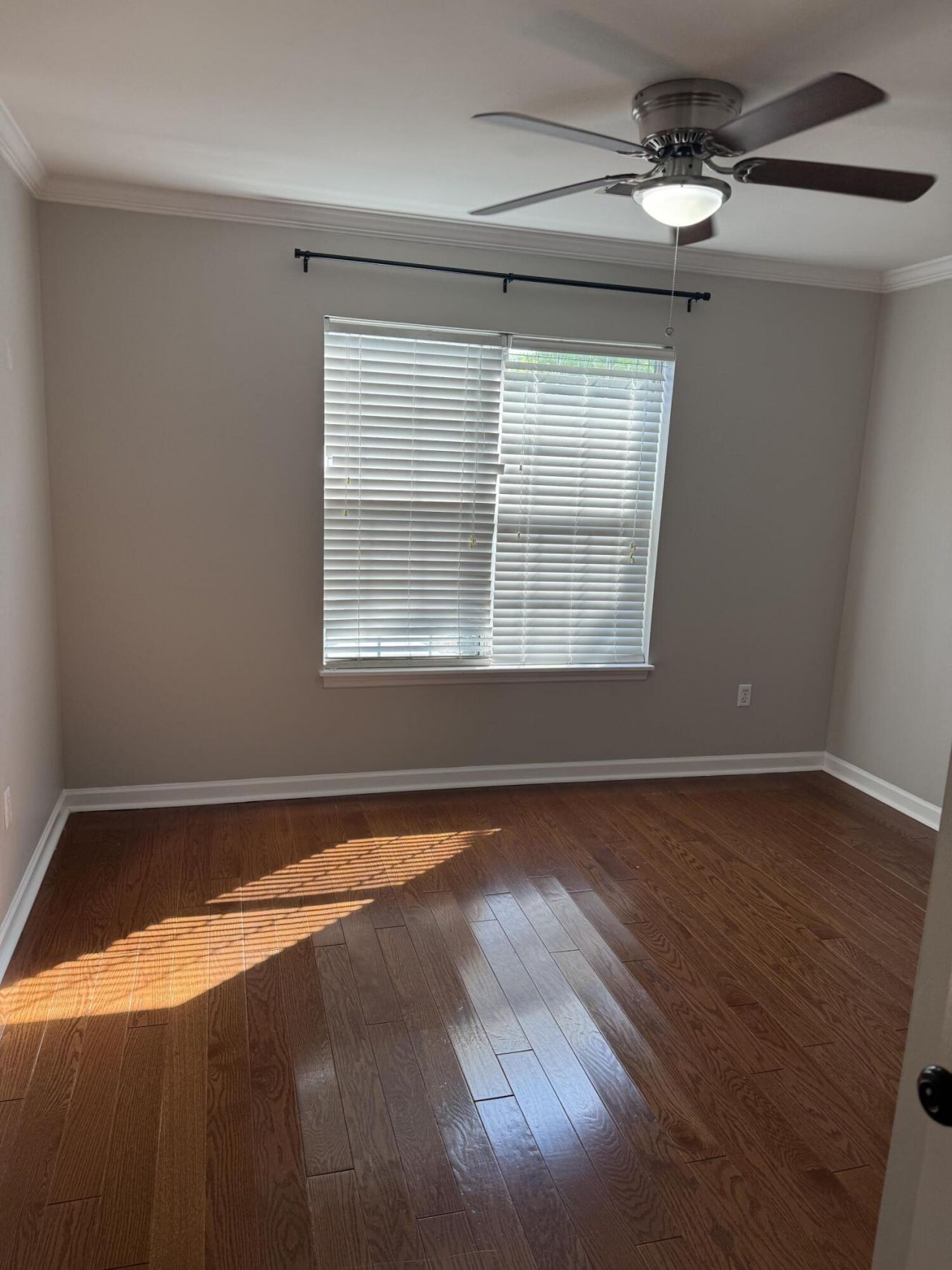 823 Harbor Place Drive Photo 28