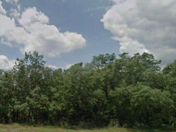 204 KINGFISH WAY , POINCIANA, FL 34759