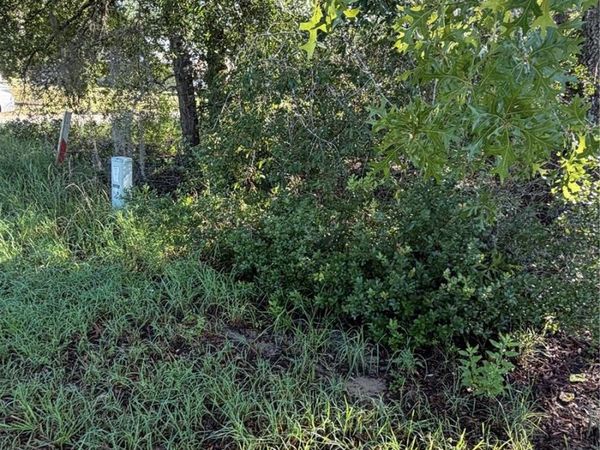 ALASKA AVENUE , INTERLACHEN, FL 32148