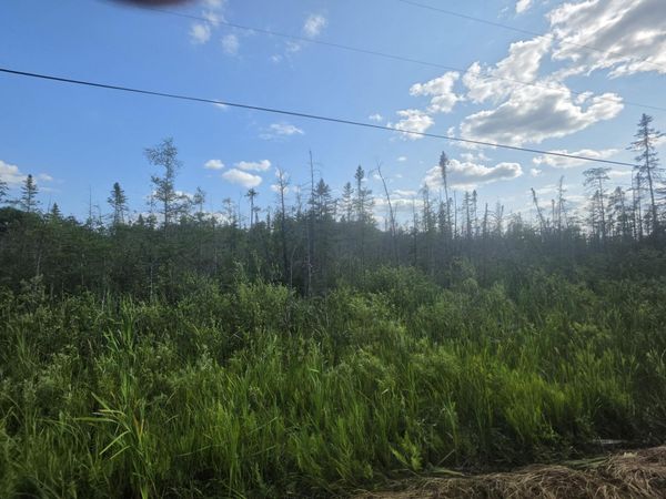 Lt0 Broennenberg Rd, Wagner, WI 54177