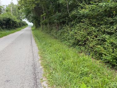 10237 Collins Riley Road, Harlan Twp, OH 45107
