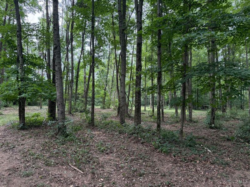 10237 Collins Riley Road, Harlan Twp, OH 45107 Photo 11