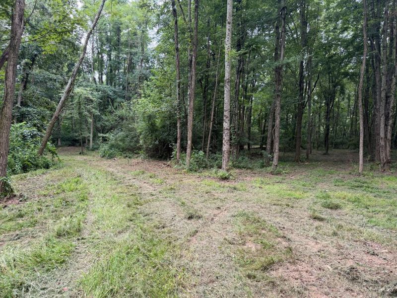 10237 Collins Riley Road, Harlan Twp, OH 45107 Photo 12