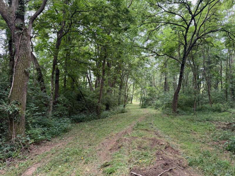 10237 Collins Riley Road, Harlan Twp, OH 45107 Photo 13