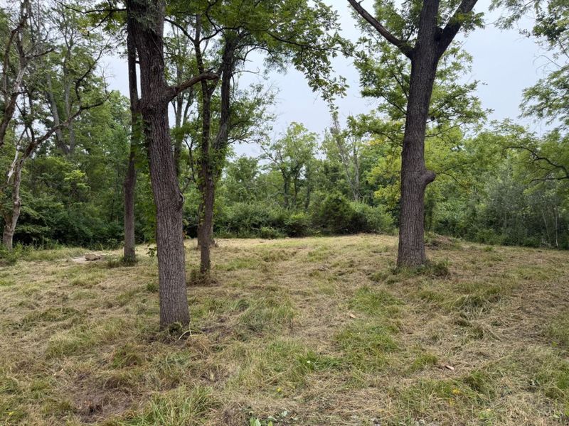 10237 Collins Riley Road, Harlan Twp, OH 45107 Photo 3
