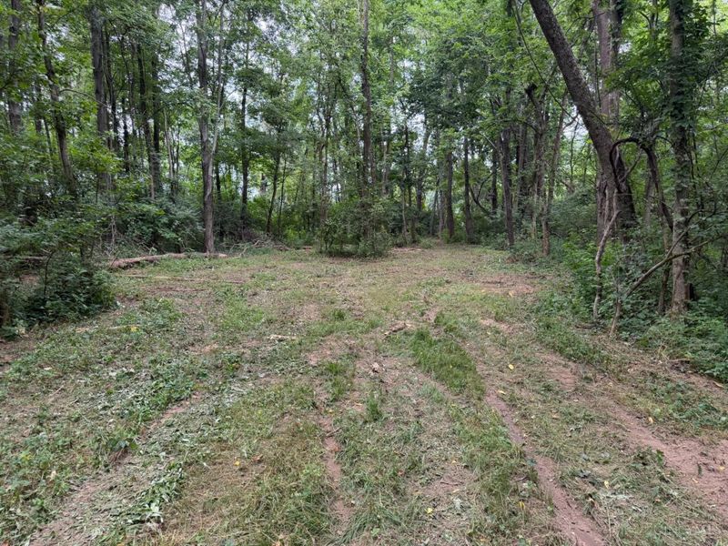 10237 Collins Riley Road, Harlan Twp, OH 45107 Photo 5