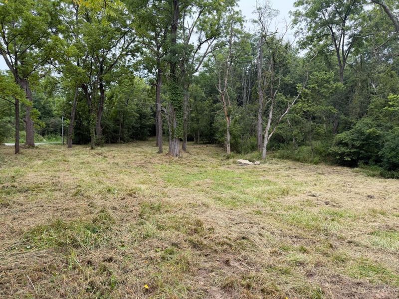 10237 Collins Riley Road, Harlan Twp, OH 45107 Photo 6