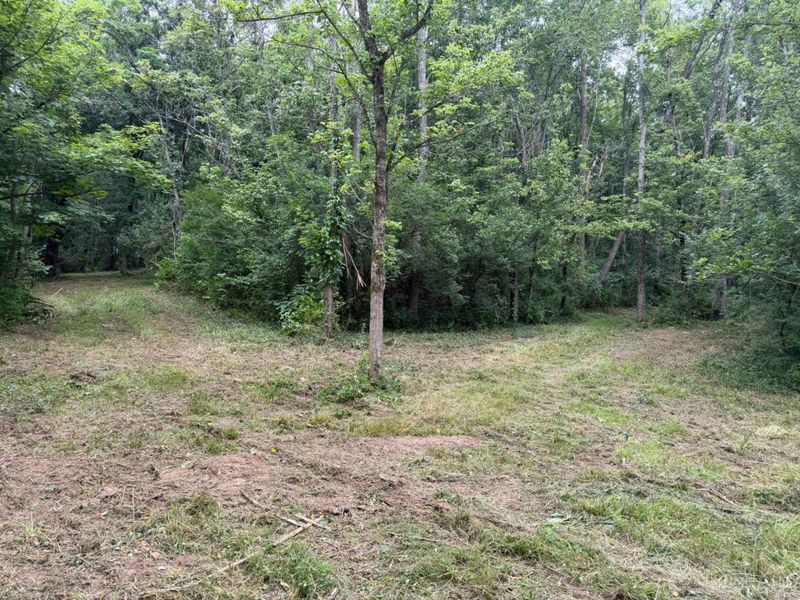 10237 Collins Riley Road, Harlan Twp, OH 45107 Photo 7